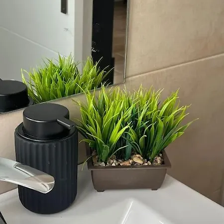 Céntrico Y Acogedor Eva